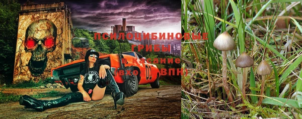 дурь Краснотурьинск